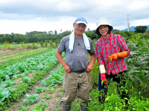 陳燕輝&彭鳳嬌