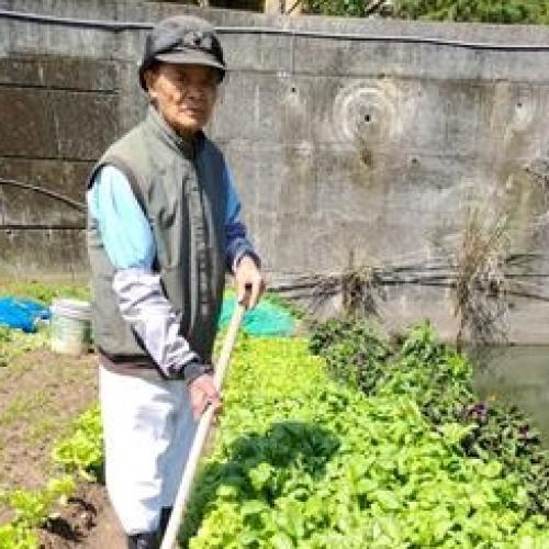 莊阿文